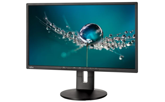 Fujitsu DISPLAY B22-8 TS Pro