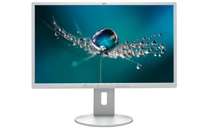 Fujitsu DISPLAY B24-8 TE Pro