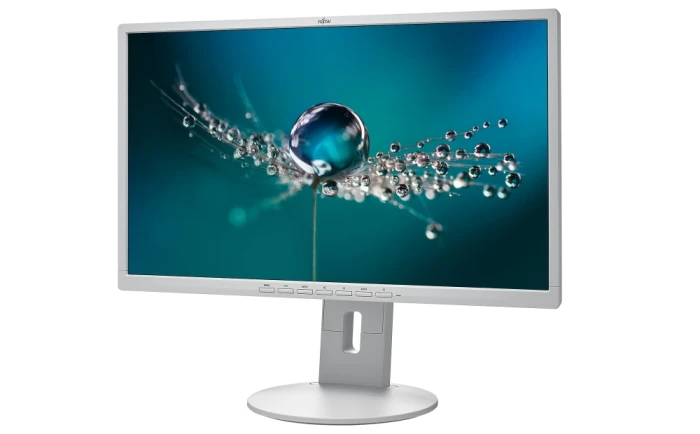 Fujitsu DISPLAY B24-8 TE Pro