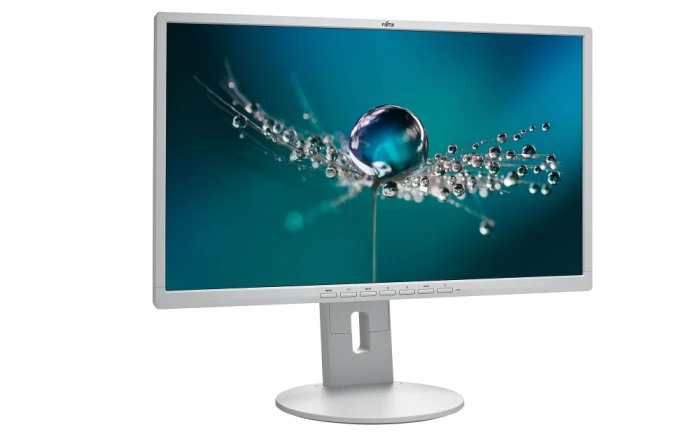 Fujitsu DISPLAY B24-8 TE Pro