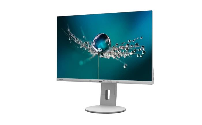 Fujitsu DISPLAY B2410 WE