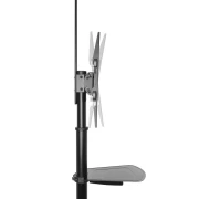 Мобилна стойка ACT AC8370, За под, Регулируема, 32"-70", VESA, До 50 кг., Черна