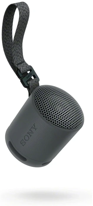 Sony SRS-XB100 Bluetooth - Black
