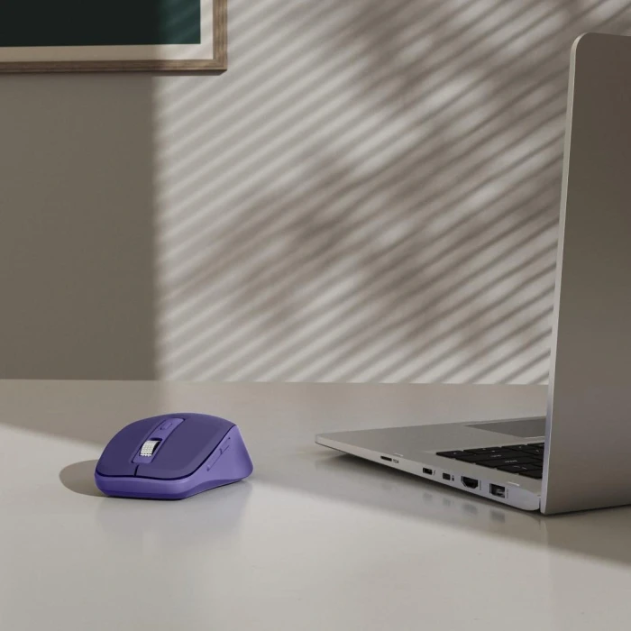 HAMA WM-450 Wireless - Blue