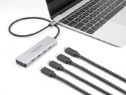 Delock 64231 USB-C > 4 x USB-C 10Gbps