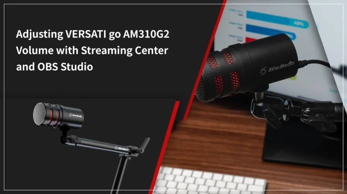 AverMedia VERSATI Go - AM310G2