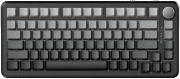 Ajazz AK820 MAX Side Printed - Linear