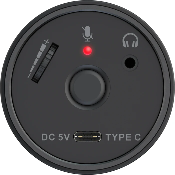 AverMedia VERSATI Go - AM310G2
