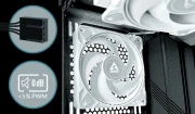 Arctic P12 Max White