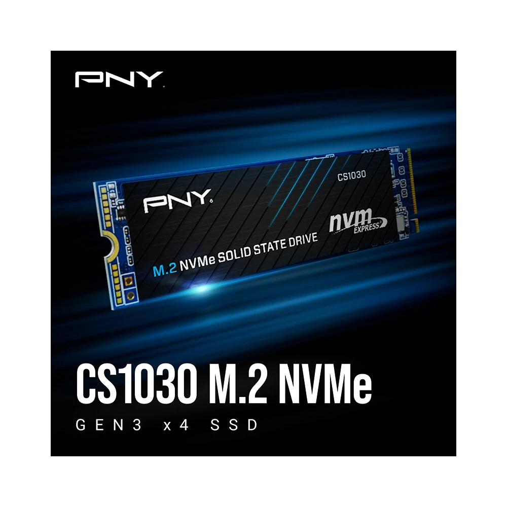 PNY CS1030 250GB