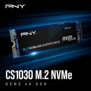 PNY CS1030 250GB