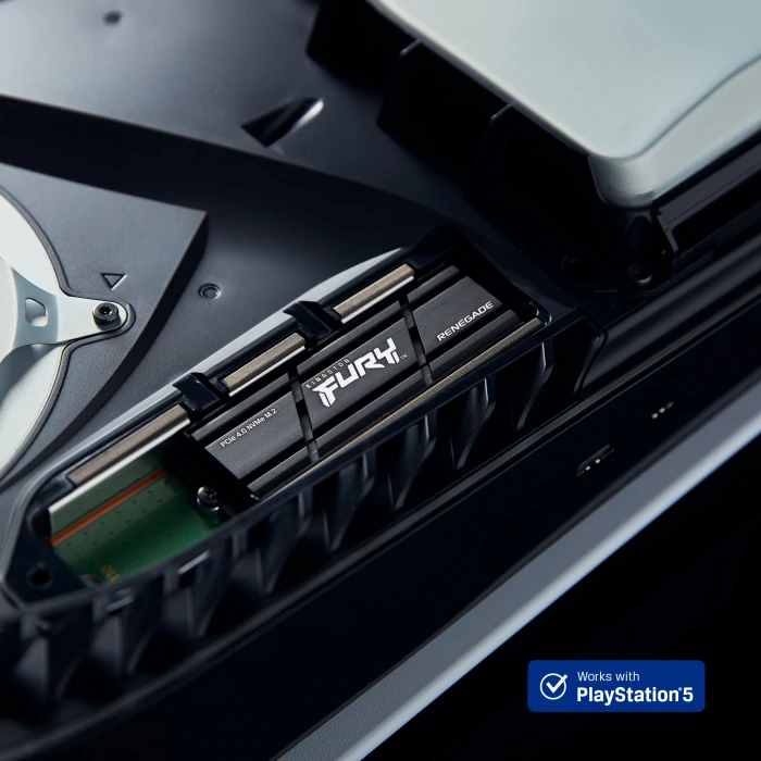 KINGSTON FURY Renegade 1TB Heatsink