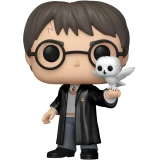 Фигурка Funko Pop!& Buddy: Harry Potter - Harry Potter with Hedwig (Special Edition) #197