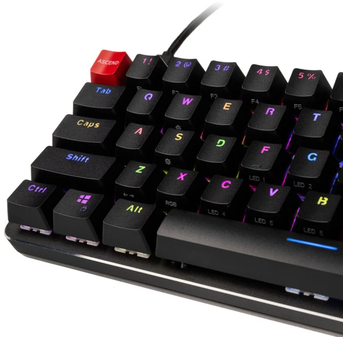 Glorious GMMK Black Compact - Tactile