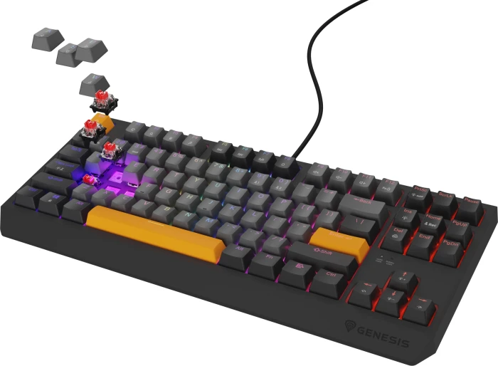 Genesis Thor 230 TKL Anchor Gray Negative Red Switch
