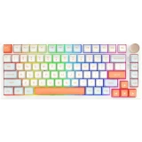 VGN N75 RGB Orange - Tactile Switches