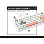 VGN N75 RGB Orange - Linear Switches