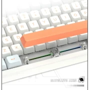 VGN N75 RGB Orange - Linear Switches