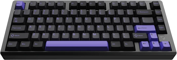 VGN VXE75 V2 Misty Purple Aniya