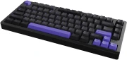 VGN VXE75 V2 Misty Purple Aniya