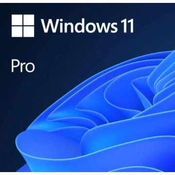 Microsoft Windows 11 Pro GGK