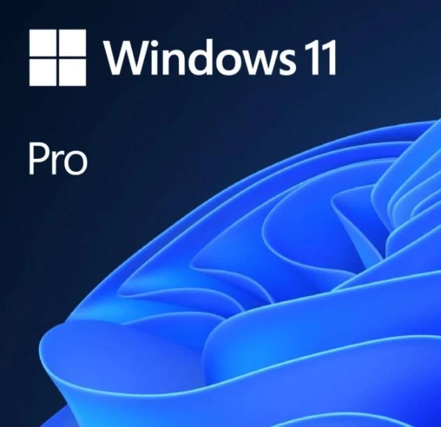 Microsoft Windows 11 Pro GGK