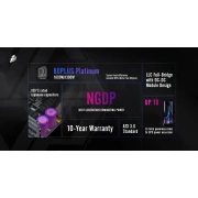 1stPlayer NGDP Platinum 1000W