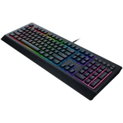 Razer Cynosa V2