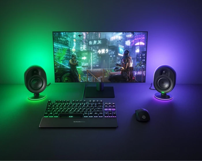 Steelseries Arena 7 (2.1)