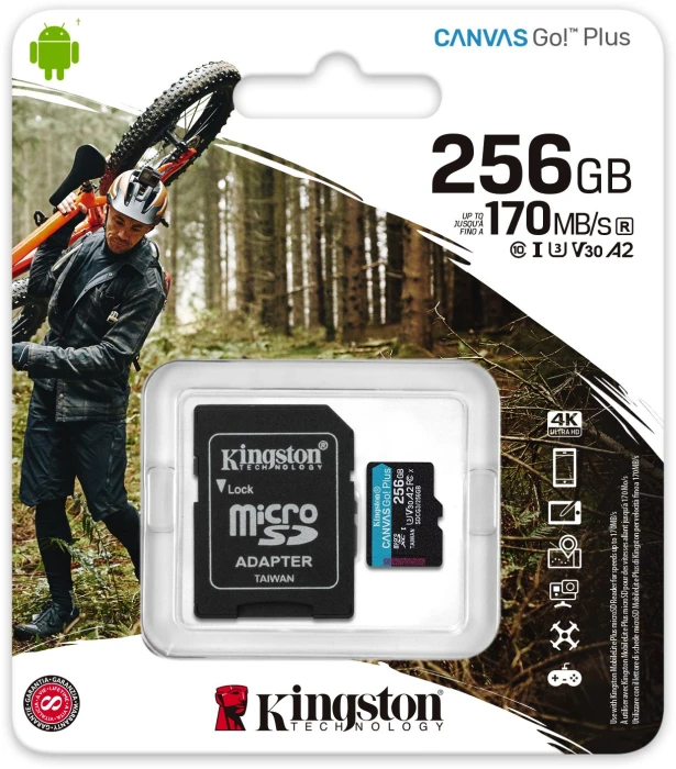 Kingston Canvas Go! Plus 256GB