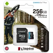 Kingston Canvas Go! Plus 256GB