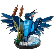 LEGO Icons - Kingfisher Bird - 10331