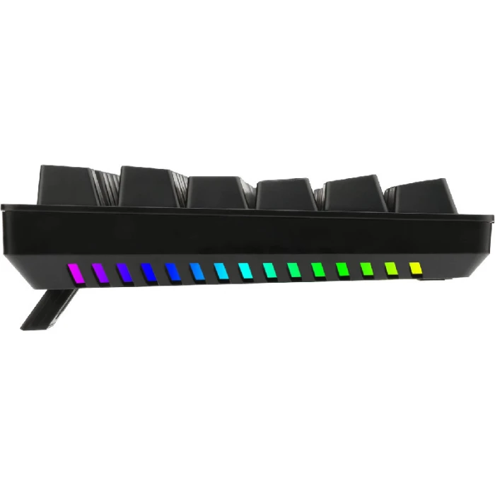 T-Dagger Bermuda T-TGK312
