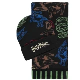 Комплект Harry Potter - Giftset (Beanie & Scarf)