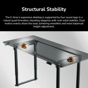 COUGAR E-GRAV 160 Electrical Black