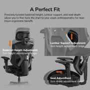 COUGAR SPEEDER Black