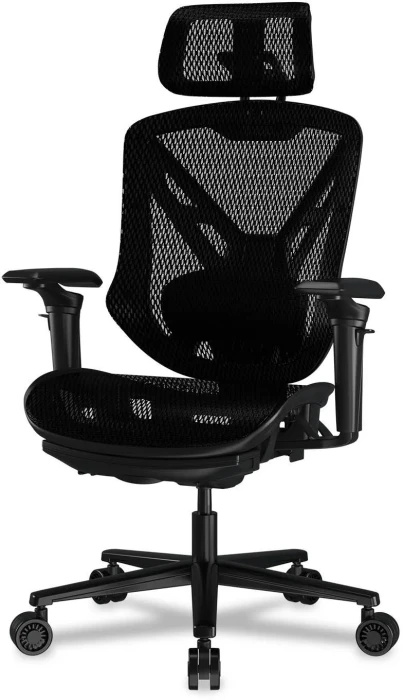 COUGAR SPEEDER Black