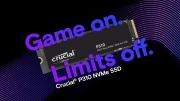 Crucial P310 500GB