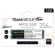 Team Group MP33 256GB