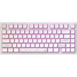 Dark Project ALU81A Terra Nostra White
