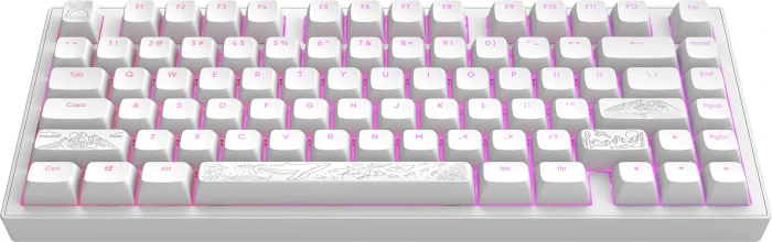 Dark Project ALU81A Terra Nostra White