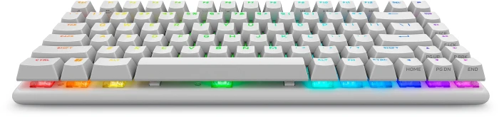 Dell Alienware Pro Wireless Lunar Light