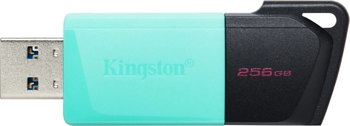 KINGSTON DataTraveler Exodia M 256GB