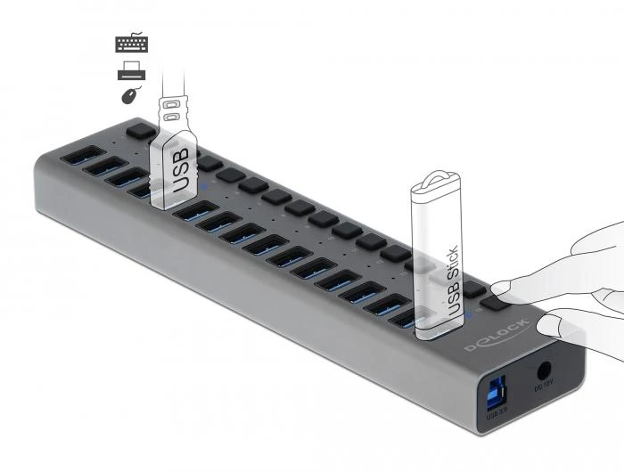USB хъб Delock 63739, 16 Ports + Switch, Висока скорост, Подсветка, Сив