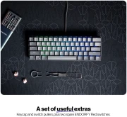 Endorfy Thock V2 Compact Red switch