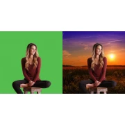 Зелен екран CELEXON Mobile Chroma Key, 150 x 180cm