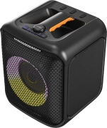 F&D PA100 Party Speaker 40W