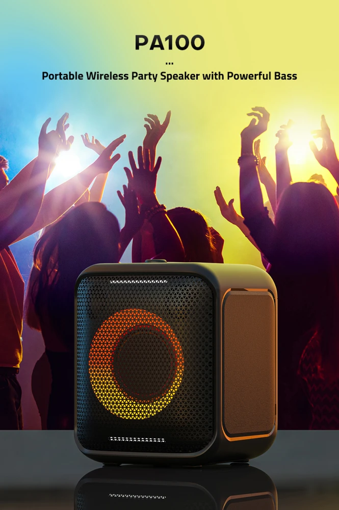 F&D PA100 Party Speaker 40W