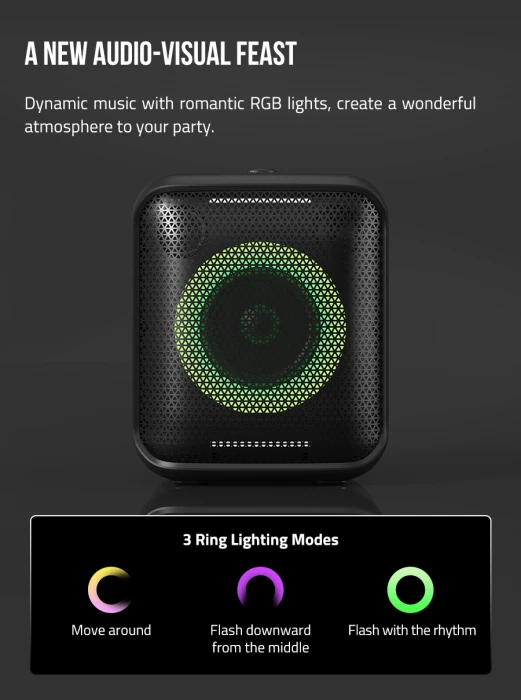 F&D PA100 Party Speaker 40W