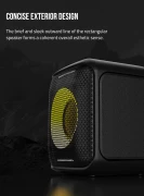 F&D PA100 Party Speaker 40W